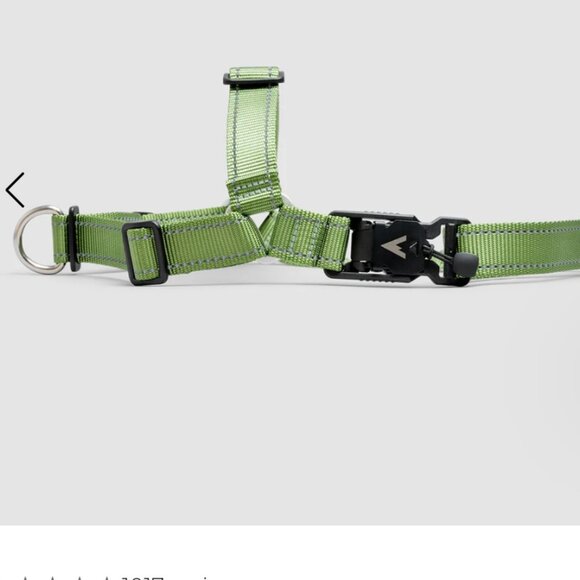 New Lifetime Harness from Atlas Pet Company - Small Moss